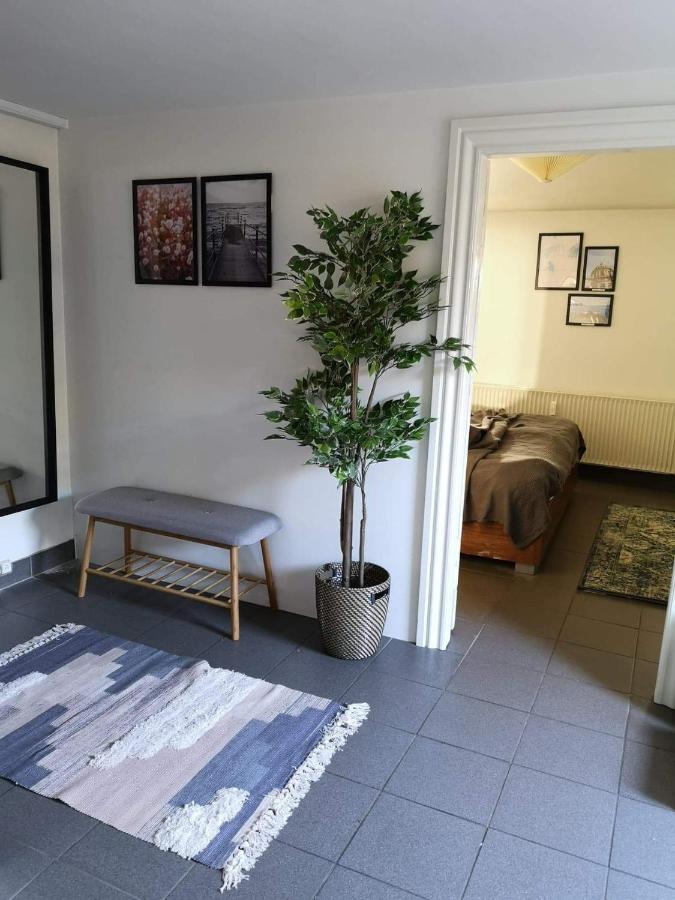 Spacious Cellar Apartment Гвідовре Екстер'єр фото